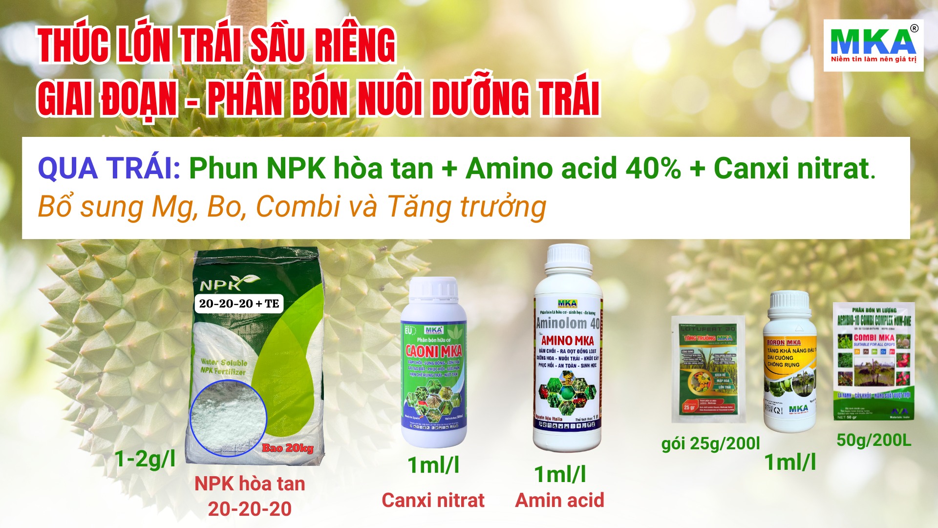 phân bón phun trái giai đoạn thúc trái sầu riêng
